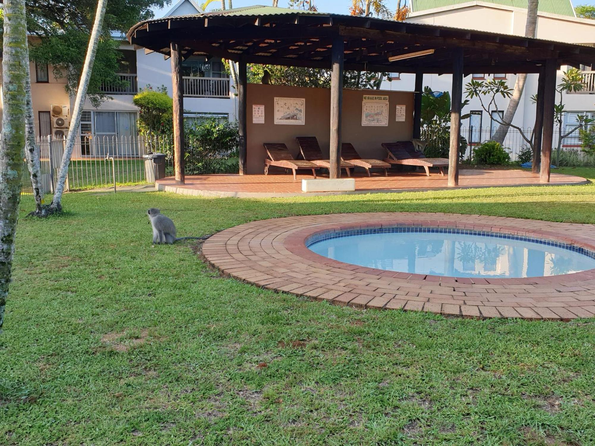 The Bridge Unit 30 Apartment Saint Lucia Estuary Exterior foto